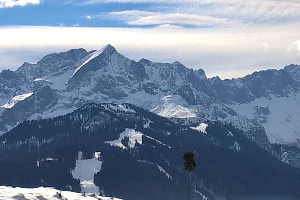 Herberge. 46 Appartement *