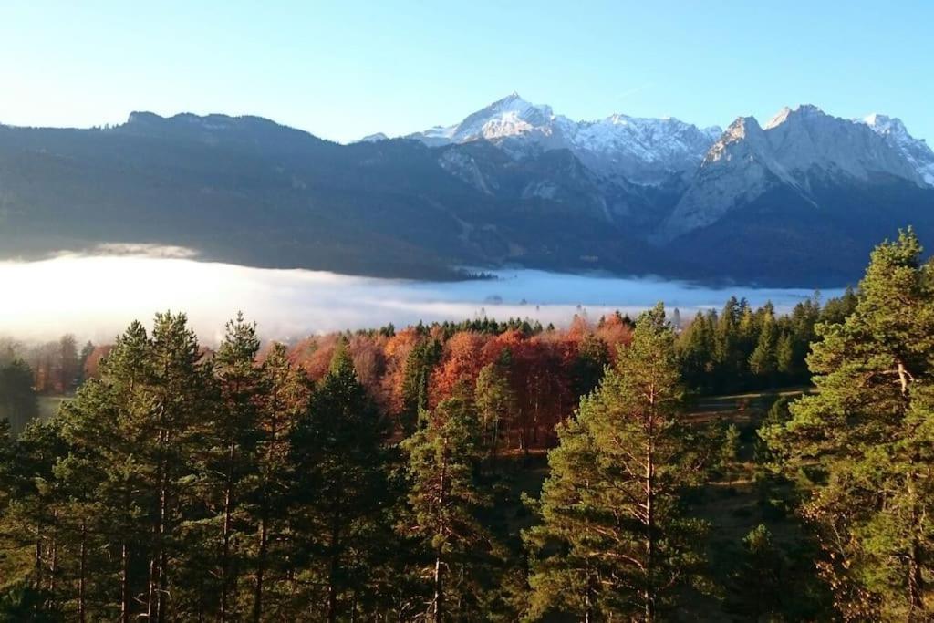 Apartament Herberge. 46